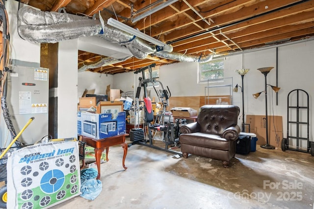 100 Pinecrest Ct, Taylorsville, NC 28681 - view of below grade area