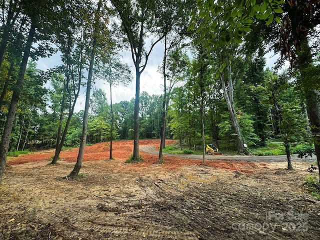 5904 Mcwhorter Rd, Waxhaw, NC 28173 - photo 3