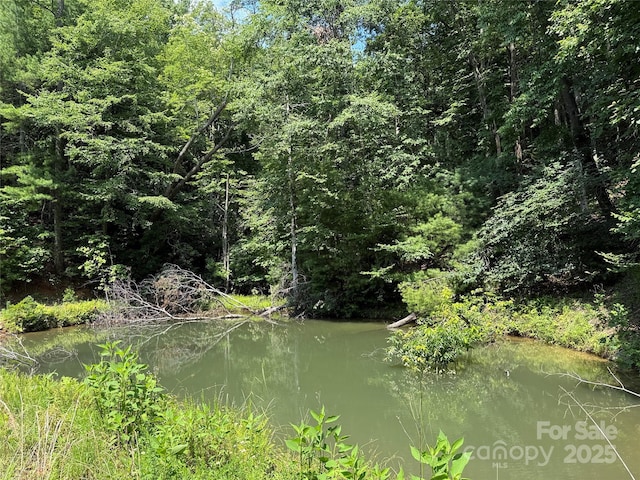 TBD Staghorn Rd, Purlear, NC 28665