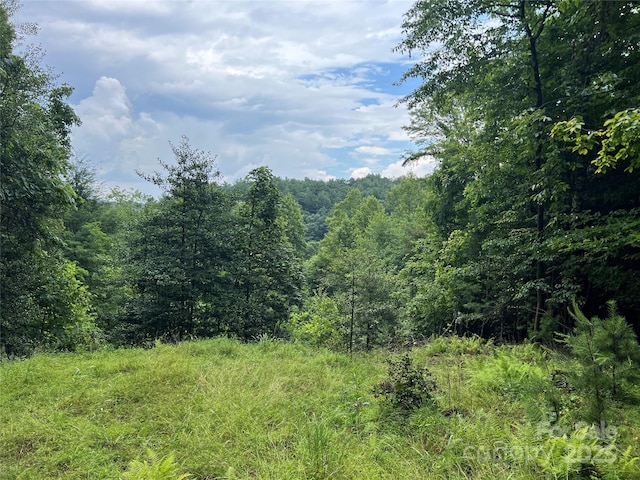 TBD Staghorn Rd, Purlear, NC 28665