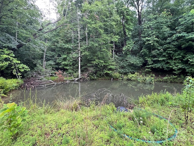 TBD Staghorn Rd, Purlear, NC 28665