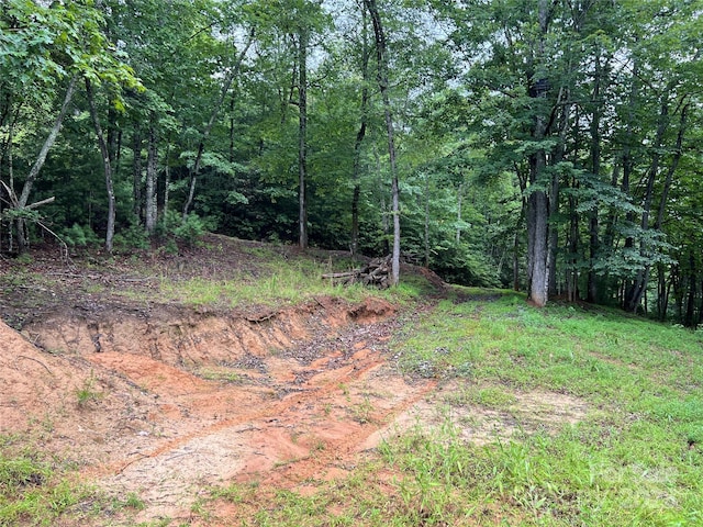 TBD Staghorn Rd, Purlear, NC 28665