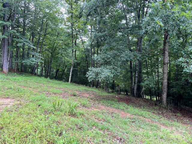 TBD Staghorn Rd, Purlear, NC 28665