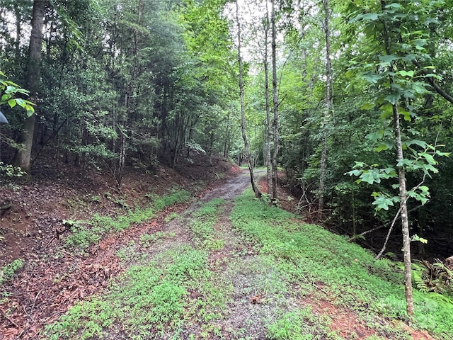 TBD Staghorn Rd, Purlear, NC 28665