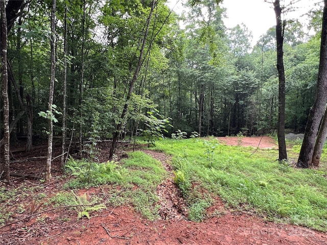 TBD Staghorn Rd, Purlear, NC 28665