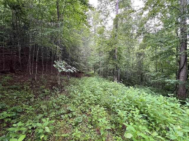 TBD Staghorn Rd, Purlear, NC 28665