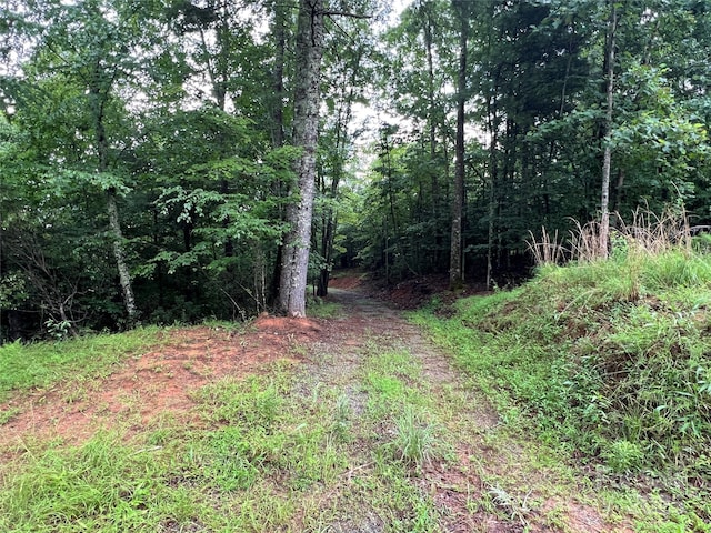 TBD Staghorn Rd, Purlear, NC 28665