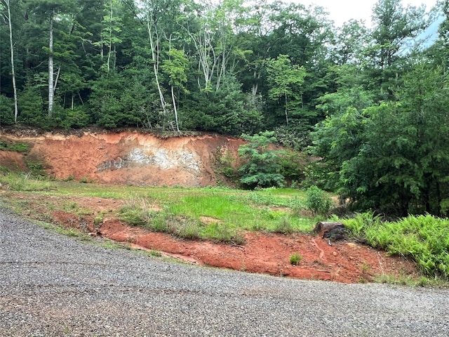 TBD Staghorn Rd, Purlear, NC 28665