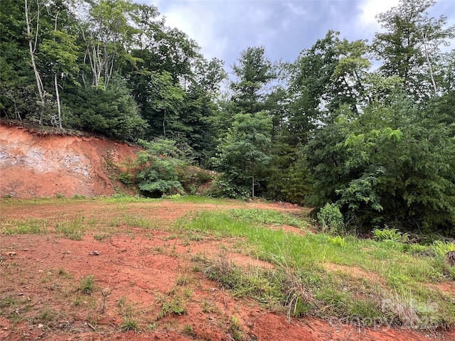 TBD Staghorn Rd, Purlear, NC 28665