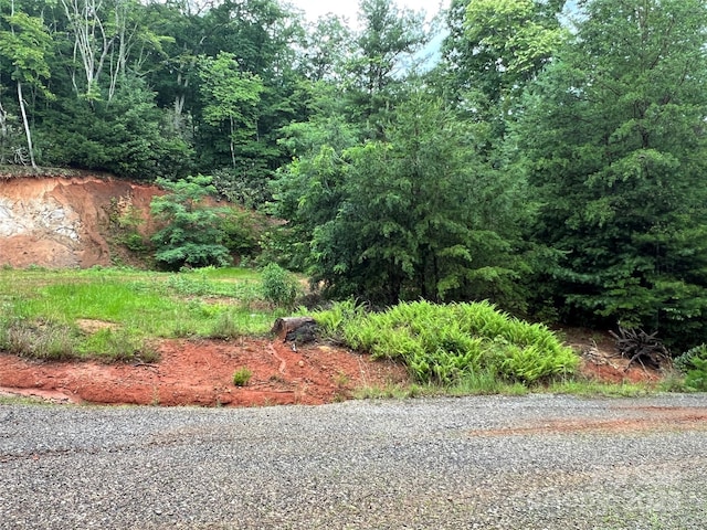 TBD Staghorn Rd, Purlear, NC 28665