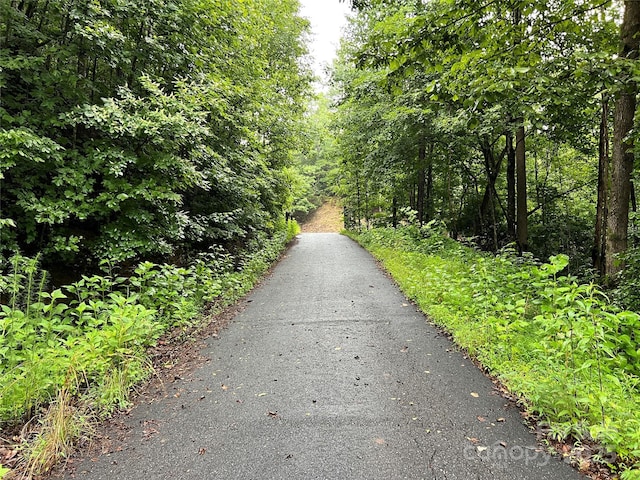 TBD Staghorn Rd, Purlear, NC 28665