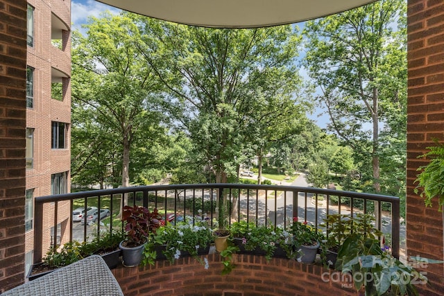 830 Cherokee Rd, Charlotte, NC 28207 - photo 16