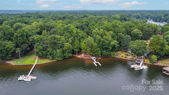 800 Lakeview Shores Loop, Mooresville, NC 28117 - photo 3