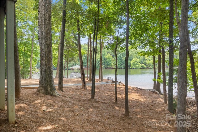800 Lakeview Shores Loop, Mooresville, NC 28117 - photo 44