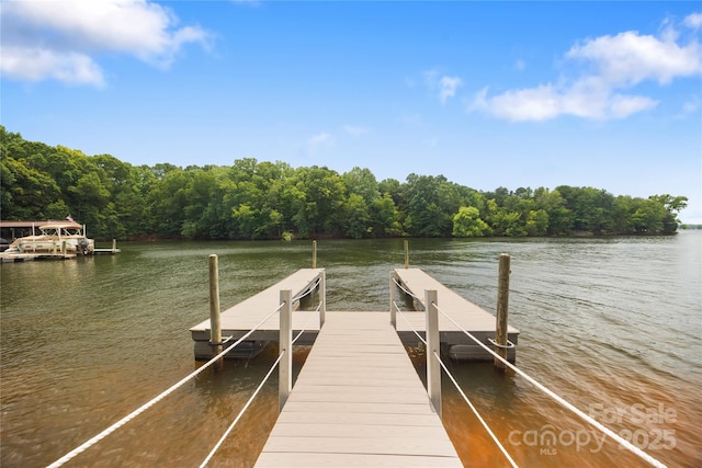 800 Lakeview Shores Loop, Mooresville, NC 28117 - photo 46