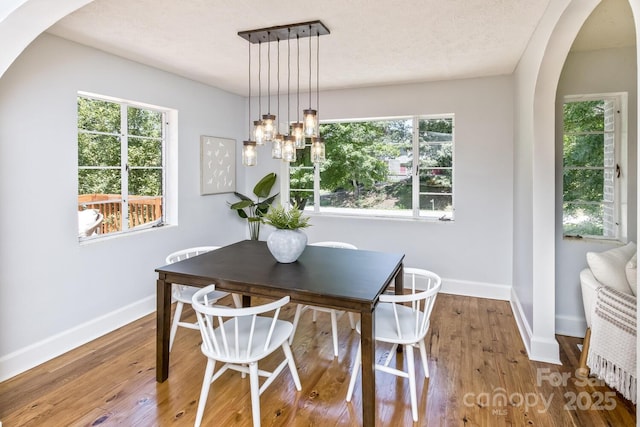 39 Nix Rd, Hendersonville, NC 28792 - dining area with arched walkways, plenty of natural light, wood finished floors, and a chandelier