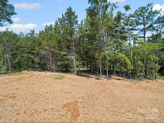 205 S Hill Ave, Albemarle, NC 28001 - view of wooded area