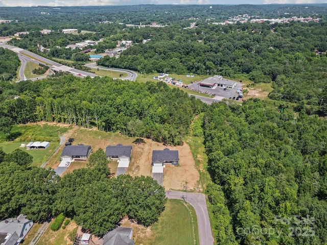 205 S Hill Ave, Albemarle, NC 28001 - aerial overview of property's location featuring a heavily wooded area
