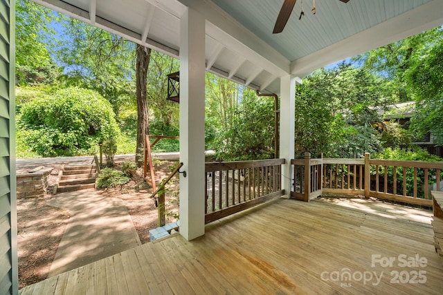 5 Parker Rd, Asheville, NC 28803 - photo 8