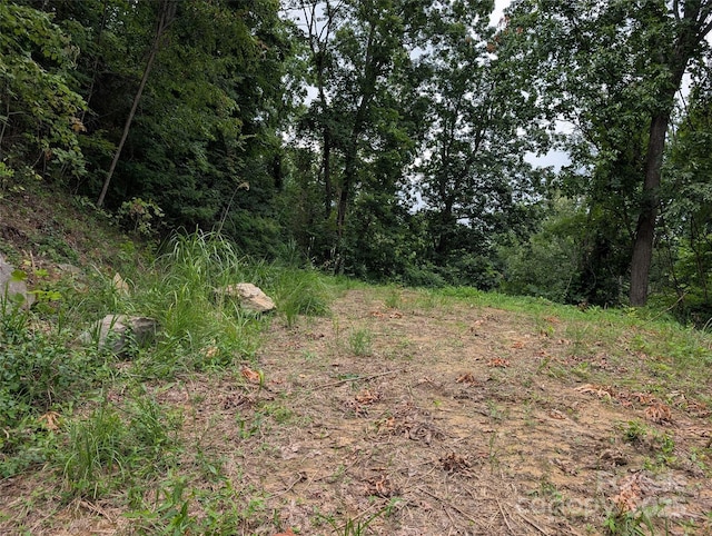 99999 Running Deer Ln Unit 74, Mars Hill, NC 28754