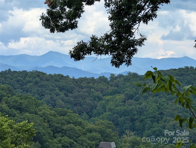 99999 Running Deer Ln Unit 74, Mars Hill, NC 28754
