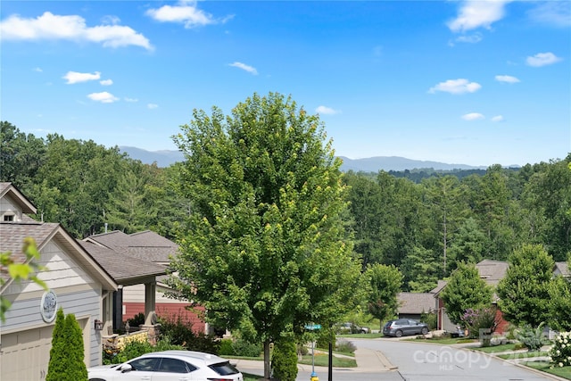 53 Loftin St, Weaverville, NC 28787 - photo 7