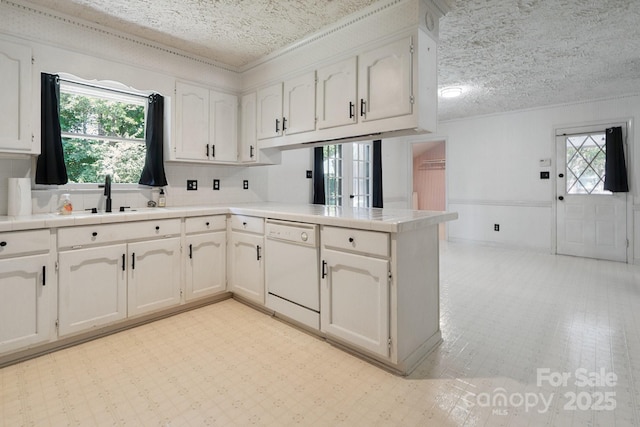 10120 Withers Rd, Charlotte, NC 28278 - kitchen with white dishwasher, a textured ceiling, a peninsula, healthy amount of natural light, and wainscoting