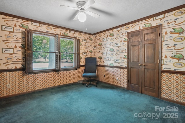 10120 Withers Rd, Charlotte, NC 28278 - unfurnished room with wallpapered walls, crown molding, carpet, a ceiling fan, and a textured ceiling