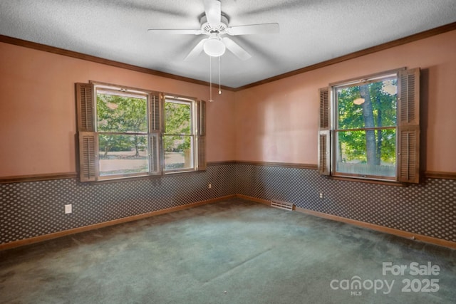 10120 Withers Rd, Charlotte, NC 28278 - carpeted spare room featuring crown molding, a wainscoted wall, a ceiling fan, and a textured ceiling