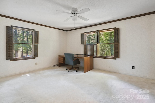 10120 Withers Rd, Charlotte, NC 28278 - unfurnished office featuring ornamental molding, carpet floors, and ceiling fan
