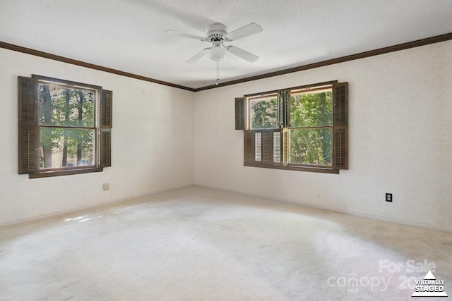 10120 Withers Rd, Charlotte, NC 28278 - carpeted spare room with crown molding, a ceiling fan, and a textured ceiling