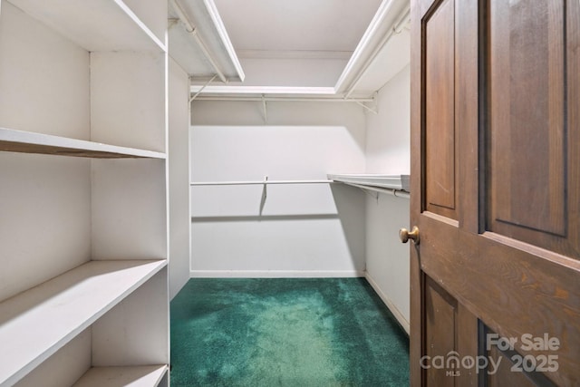 10120 Withers Rd, Charlotte, NC 28278 - walk in closet featuring dark colored carpet