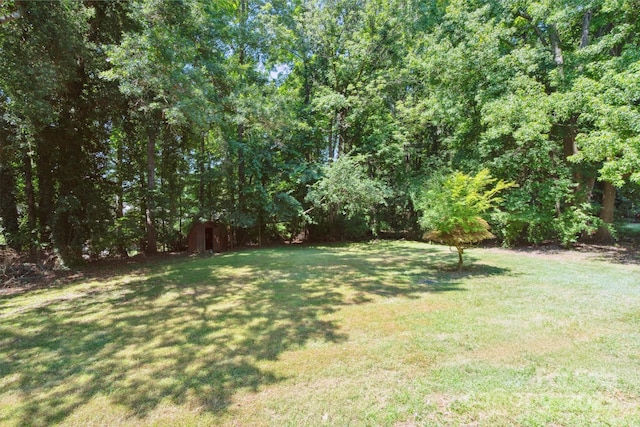 10120 Withers Rd, Charlotte, NC 28278 - view of grassy yard