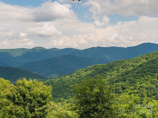 130 Bluff Creek Ter, Candler, NC 28715 - photo 4