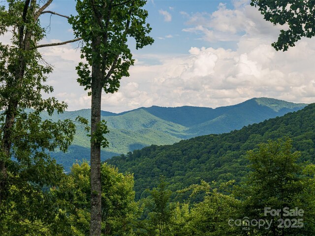 130 Bluff Creek Ter, Candler, NC 28715 - photo 22