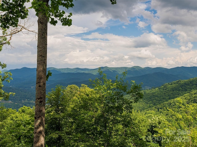 130 Bluff Creek Ter, Candler, NC 28715 - photo 28