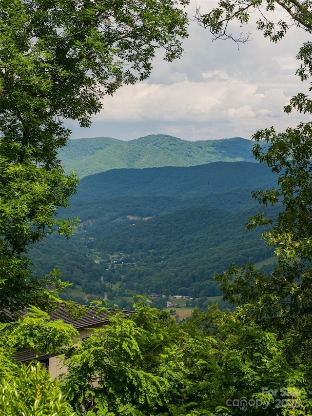 130 Bluff Creek Ter, Candler, NC 28715 - photo 29