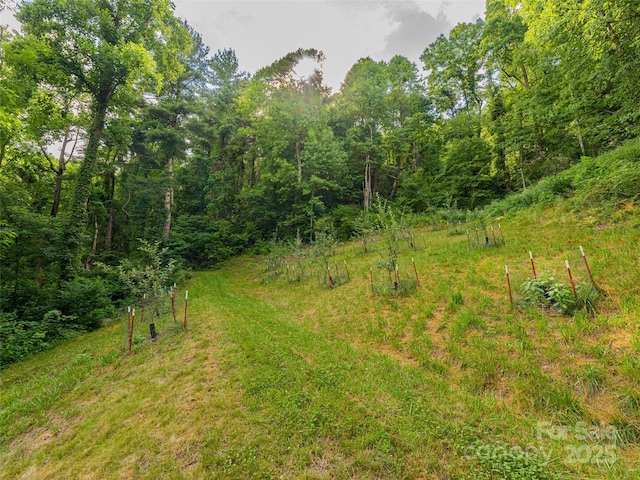 130 Bluff Creek Ter, Candler, NC 28715 - photo 44