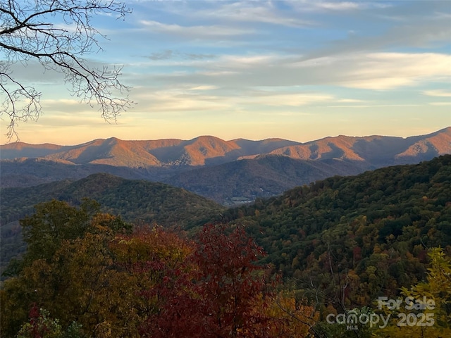130 Bluff Creek Ter, Candler, NC 28715 - photo 46
