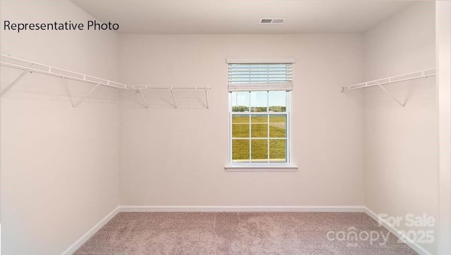 9223 Poquoson Dr, Gastonia, NC 28056 - walk in closet with carpet floors