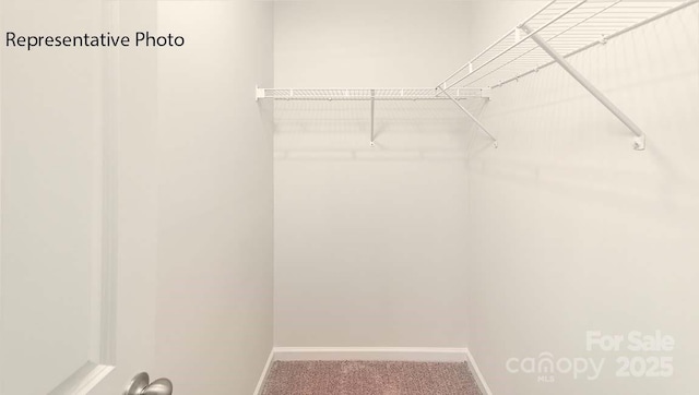 9223 Poquoson Dr, Gastonia, NC 28056 - walk in closet featuring carpet floors