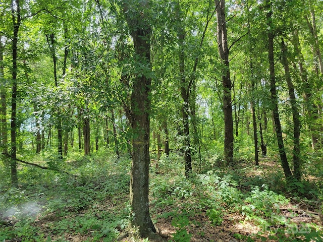 000 Shannon Bradley Rd, Gastonia, NC 28052 - photo 8