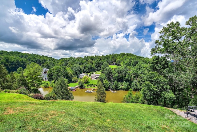 137 Lakeside Dr, Marion, NC 28752 - photo 7