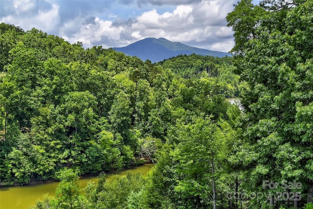 137 Lakeside Dr, Marion, NC 28752 - photo 41