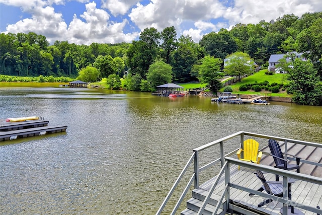 137 Lakeside Dr, Marion, NC 28752 - photo 44