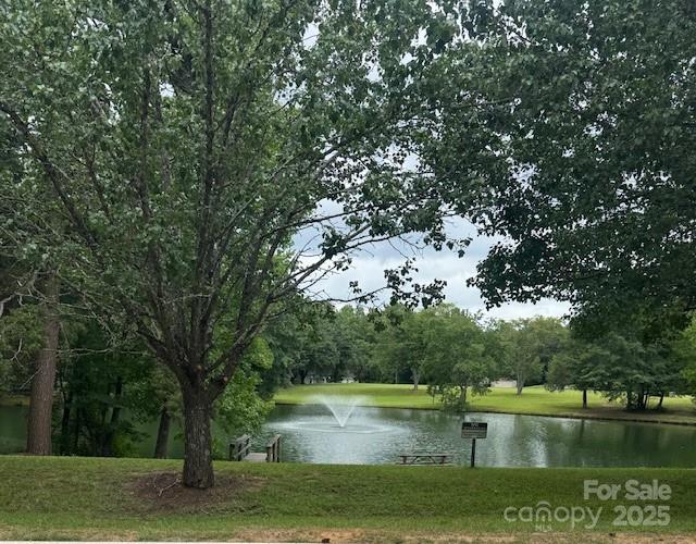 9199 Horseshoe Cir, Indian Land, SC 29707 - photo 3
