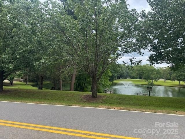 9199 Horseshoe Cir, Indian Land, SC 29707 - photo 4