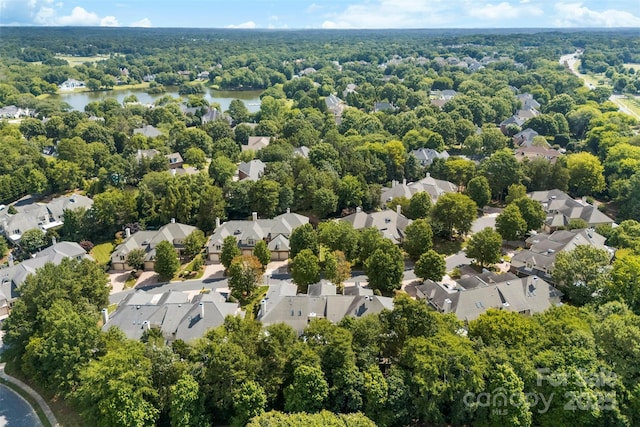 8934 Challis Hill Ln, Charlotte, NC 28226 - photo 34
