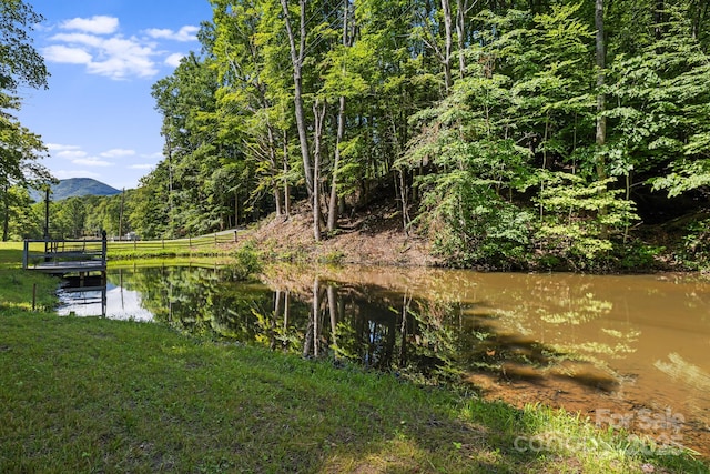 66 Volunteer Dr, Burnsville, NC 28714 - photo 3