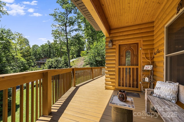 66 Volunteer Dr, Burnsville, NC 28714 - photo 35